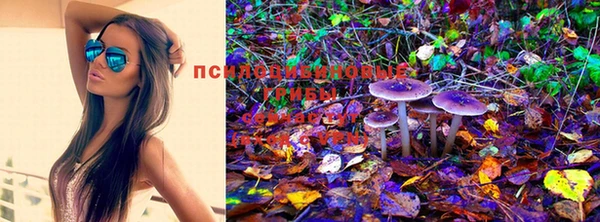 MESCALINE Богородицк