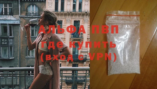 таблы Богданович