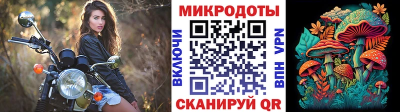 Галлюциногенные грибы Psilocybine cubensis  Высоковск 
